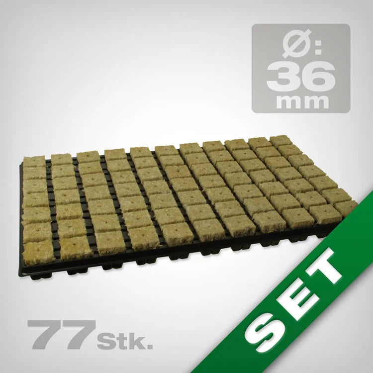 Grodan Steckling Anzuchtmatte 36/77 inkl. Plastikuntersatz