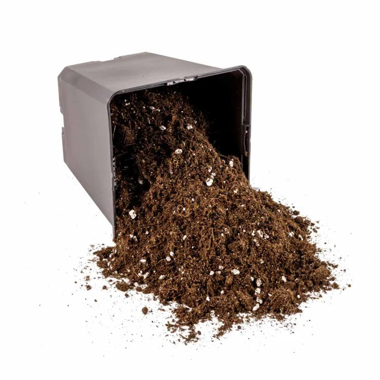 BioBizz Light-Mix, mit Perlite, 20 Liter